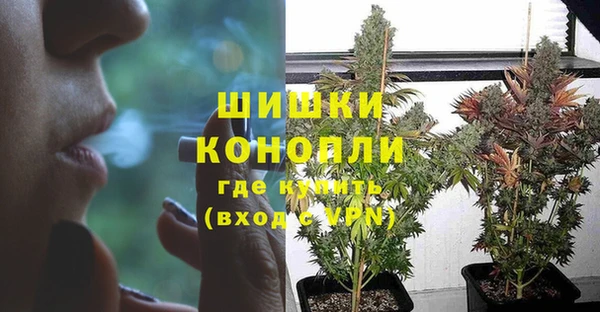 эйфоретик Пролетарск