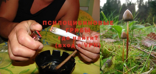 эйфоретик Пролетарск